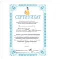 Сертификат участника семинара-практикума "Методика работы с дидактическим материалом способствующем развитию прединженерного мышления у детей дошкольного возраста" (Методика работы с дидактическим материалом "Кирпичики" методика Никитиных) 24.09.2018год. Сертификат участника семинара-практикума "Методика работы с дидактическим материалом способствующем развитию прединженерного мышления у детей дошкольного возраста" (Методика работы с дидактическим материалом "Кирпичики" методика Никитиных) 24.09.2018год.