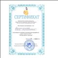 Сертификат МКДОУ д/с 478 участника конкурса методических разработок среди педагогов ДОУ "Литературная страница" 06.12.2018год. Сертификат МКДОУ д/с 478 участника конкурса методических разработок среди педагогов ДОУ "Литературная страница" 06.12.2018год.